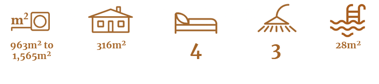 extended-features-driftwood